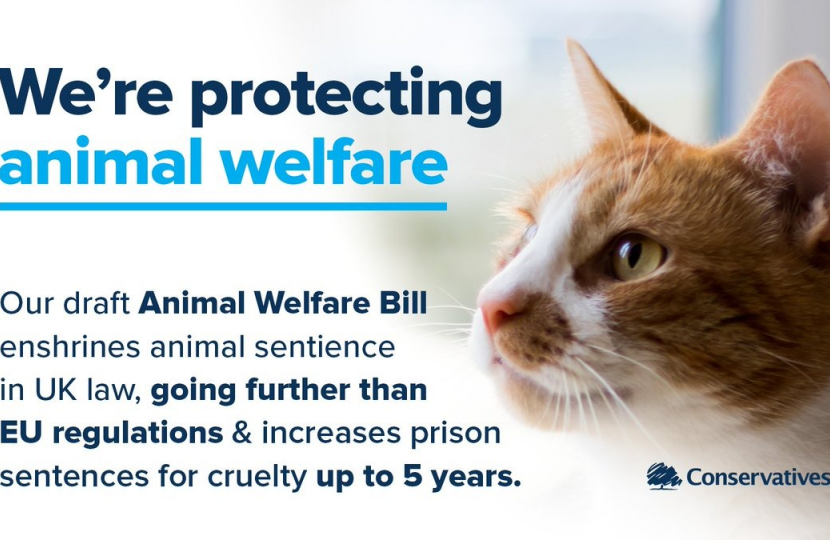 This Government is protecting animal welfare