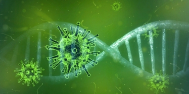 Coronavirus sequence