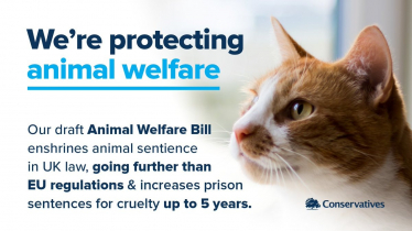 This Government is protecting animal welfare